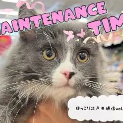 【 ほっこり北通Vol.74 】ノルくんの大好きな耳掃除！