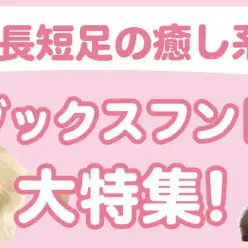 【 ダックスフント特集 】6/20現在在店中のダックスちゃん！最新動画は必見！