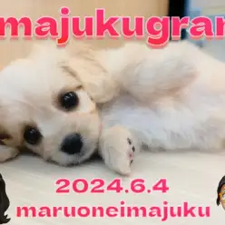 【 イマジュクグラム 】レアカラーキャバションちゃまブログ用オフショット大公開！