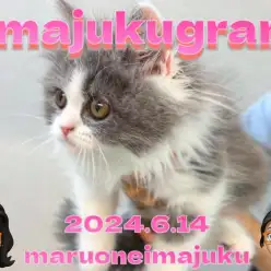 【 イマジュクグラム 】今宿店わんにゃんたちのワクチン接種＆健診に密着！