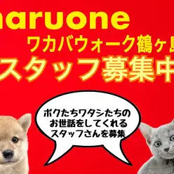 【 鶴ヶ島店スタッフ募集 】ワンちゃんネコちゃんのお世話&接客スタッフ募集中