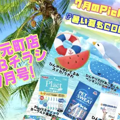 【 商品レビュー 】楽しい夏をCOOLに過ごそう！【WEBチラシ7月号】
