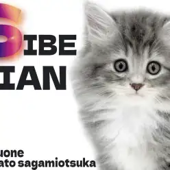 【 サイベリアン 】猫の概念が覆る!人懐っこさ抜群で遊び好きなパートナーキャット