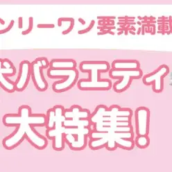 【 犬バラエティ特集 】7/4現在在店中のバラエティワンちゃん！最新動画付き！