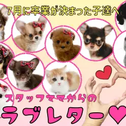 【 卒業 】7月に卒業が決まった子達にスタッフママより愛を込めてラブレター！