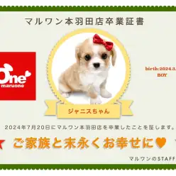 【 卒業記念 】チワキャバのジャニスくん卒業おめでとう！今までの感謝を込めて〜卒業ブログ〜