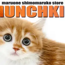 【 マンチカン 】超が付く程の短足！毛色と被毛の長さが噛み合った癒し系の女の子