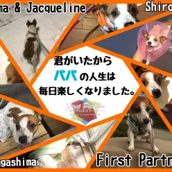 【 ファーストパートナー 】マルワン城山店&鶴ヶ島店スタッフ小川の愛犬物語