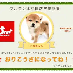 【卒業記念】むぎちゃん卒業おめでとう！今までの感謝を込めて〜卒業ブログ〜