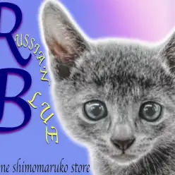 【 ロシアンブルー 】容姿はクールに心はホットに!甘えん坊のイケメン猫はいかが?