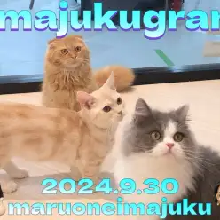 【 イマジュクグラム 】第三弾！TEAM仲良しのVIPルームでの最新動画をお届け