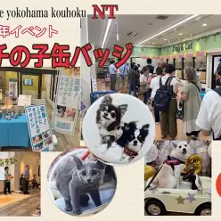 【 周年祭 】大盛況の13周年祭、たくさんの笑顔をありがとう！