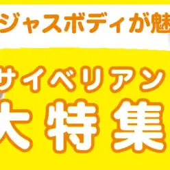 【 サイベリアン特集 】9/12現在在店中のゴージャスにゃんこ！最新動画は必見！