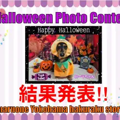 【 お知らせ 】ハロウィンフォトコンテストいよいよ結果発表！