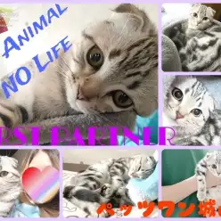 【 ファーストパートナー 】マルワンペッツワン城山店スタッフ、浦川の愛猫物語！