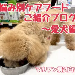 【 商品紹介 】お悩み別ケアフードのご紹介！愛犬編