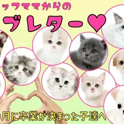 【 卒業 】9月に卒業が決まった子達にスタッフママより愛を込めてラブレター！