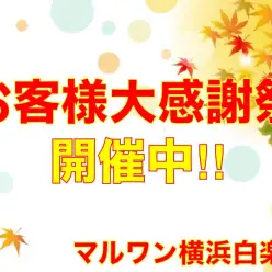 【 お知らせ 】お客様大感謝祭！可愛さ満点の子犬子猫をご紹介！