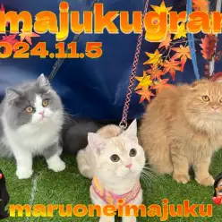 【 イマジュクグラム 】マルワン横浜今宿店！秋仕様フォトブース完成のお知らせ！