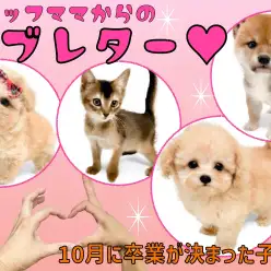 【 卒業 】10月に卒業が決まった子達にスタッフママより愛を込めてラブレター！