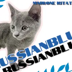 【 ロシアンブルー 】誰もが振り返る圧倒的美！スタイリッシュにゃんこ！