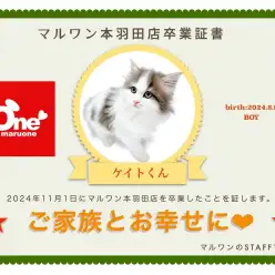 【 卒業記念 】サイベリアンのケイトくん卒業おめでとう！今までの感謝を込めて