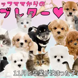 【 卒業 】11月に卒業が決まった子達にスタッフママより愛を込めてラブレター！