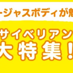 【 サイベリアン特集 】12/19現在在店中のゴージャスCAT！最新動画付き！