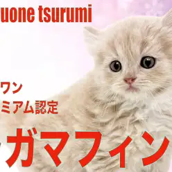 【 ラガマフィン 】マルワンプレミアムに認定された女の子！