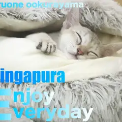 【 シンガプーラ 】お気に入りのフカフカベットでお昼寝する世界最小にゃんこ！