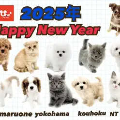 【 お知らせ 】2025年！新しい出会いをマルワン横浜 港北NT店で！