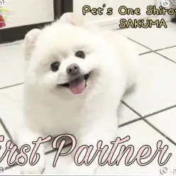 【 ファーストパートナー 】ペッツワン城山店スタッフ佐久間の愛犬物語！