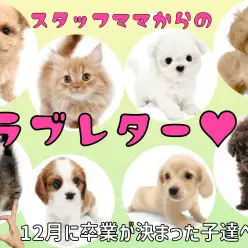 【 卒業 】12月に卒業が決まった子達にスタッフママより愛を込めてラブレター！