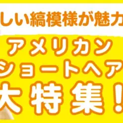 【 アメリカンショートヘア特集 】2/6現在在店中のアメショちゃん！最新動画付き