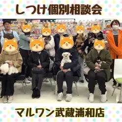 【 しつけ個別相談会 】愛犬との絆の結び方レクチャーとお悩み相談！