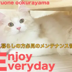 【 サイベリアン 】一人で出来る!一人暮らしの方必見のメンテナンス慣れ!