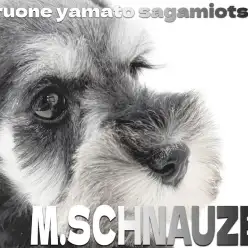 【 シュナウザー 】賢く愛情たっぷり！モノクロカラーがカワイイ最高のパートナー！