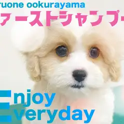 【 MIX 】キャバションちゃんファーストシャンプーでの新発見！