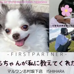 【 ファーストパートナー 】 マルワン板橋志村坂下店スタッフ石原の愛犬物語！