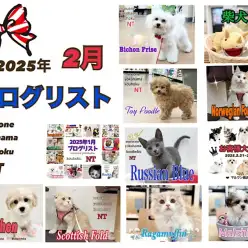 【 ブログリスト 】マルワン港北NT店2月のブログ記事まとめ