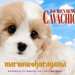 【 MIX 】注目度1000％！！明るく楽しく元気な子！スーパーキャバション！