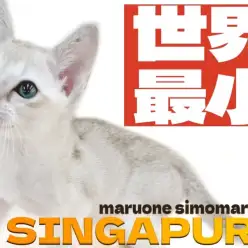 【 シンガプーラ 】小さな体に秘めた大きな愛！ウルトラ甘えん坊な男の子