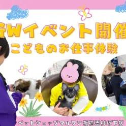 【 お知らせ 】5月6日キッズイベント開催！ペットショップのお仕事体験！