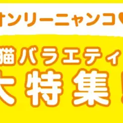 【 猫バラエティ特集 】4/17現在在店中のオンリーニャンコ！最新動画付き！