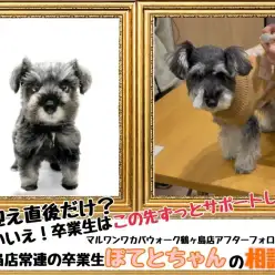 【 鶴ヶ島店アフターフォロー 】ずっとサポートします！ぽてとちゃん家族から相談