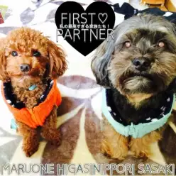 【 ファーストパートナー 】マルワン東日暮里店スタッフ佐々木の愛犬物語！