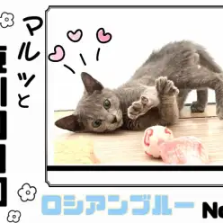 【 マルっと東川口日和NO.6 】美ボディの秘訣は食にあり！食欲旺盛なロシちゃん