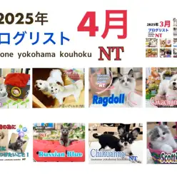 【 ブログリスト 】マルワン横浜 港北NT店4月のブログ記事まとめ