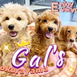 【 GAL’s 】社交性抜群の女の子達！楽しく遊びながら犬社会をお勉強中！