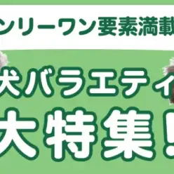 【 犬バラエティ特集 】5/15現在在店中の個性豊かなわんこたち！最新動画付き！